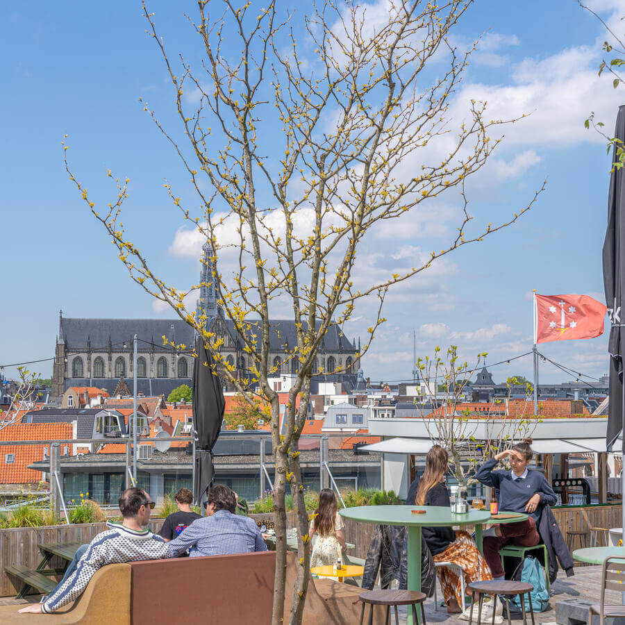 DEDAKKAS, HAARLEM: Dansende bomen op het terras met het mooiste uitzicht van Haarlem