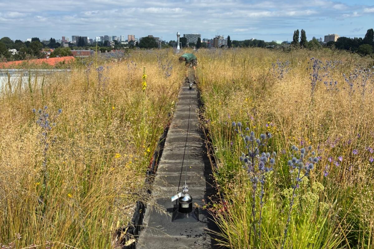 Project Pieterlastmanweg, Amstelveen