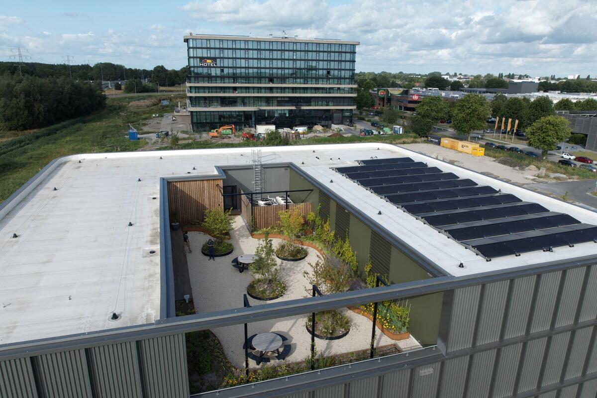 Project Woerden, Hoogendoorn