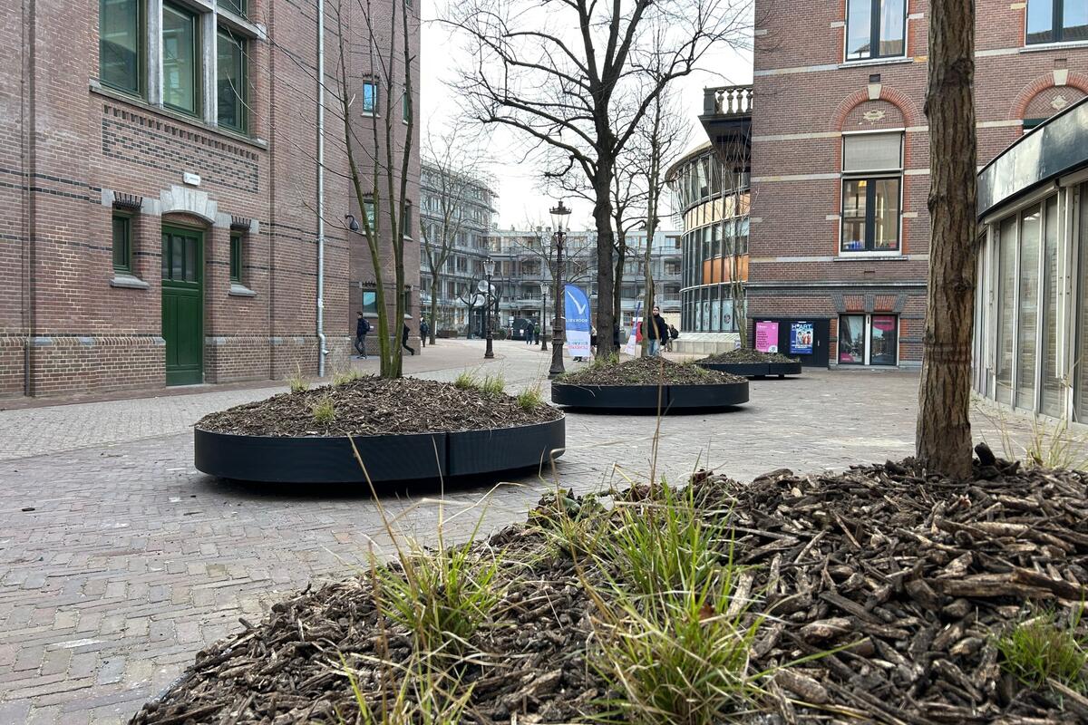 Project Universiteitskwartier, Amsterdam