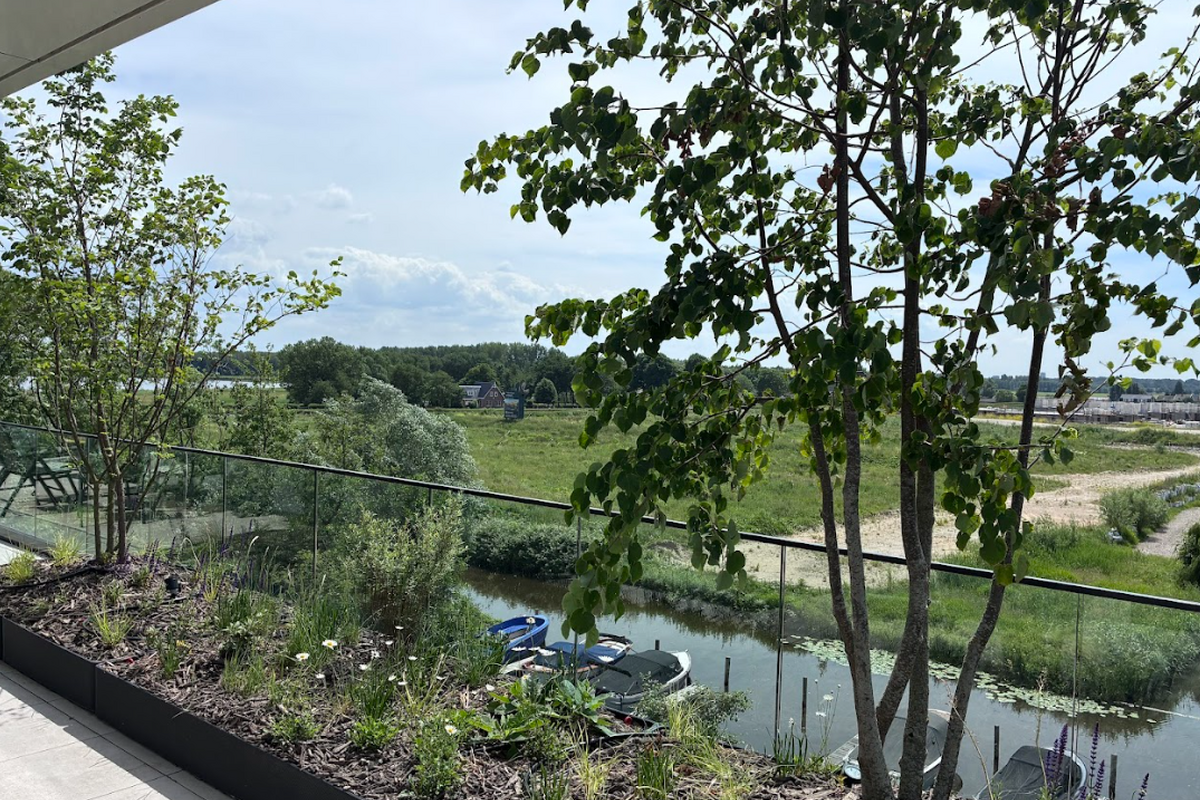 Project Voorschoten, Haagwijk