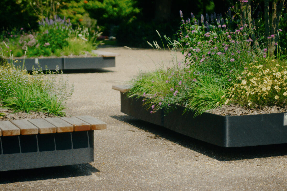 Project Northern Cemetery, Hilversum