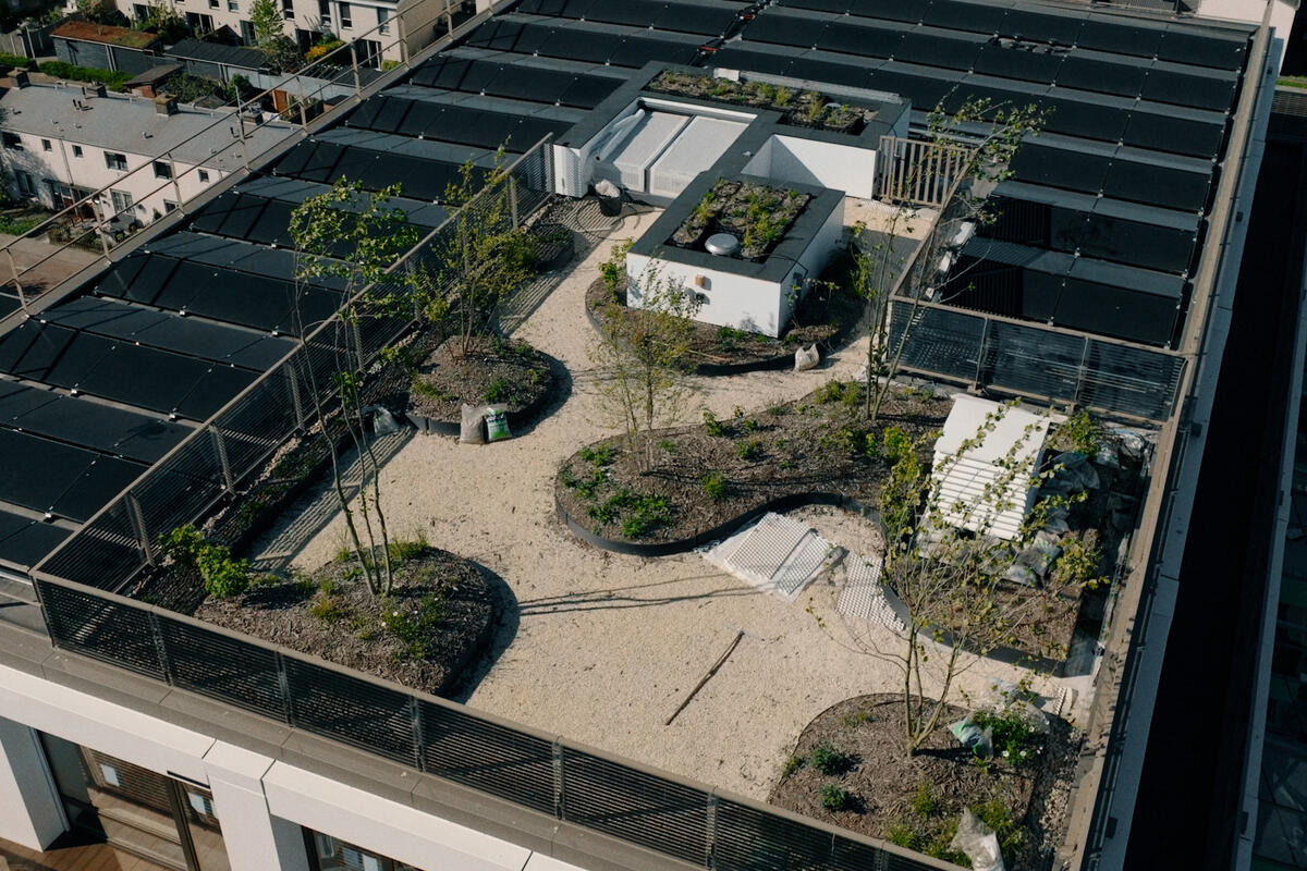 Project The Urban Woods, Delft