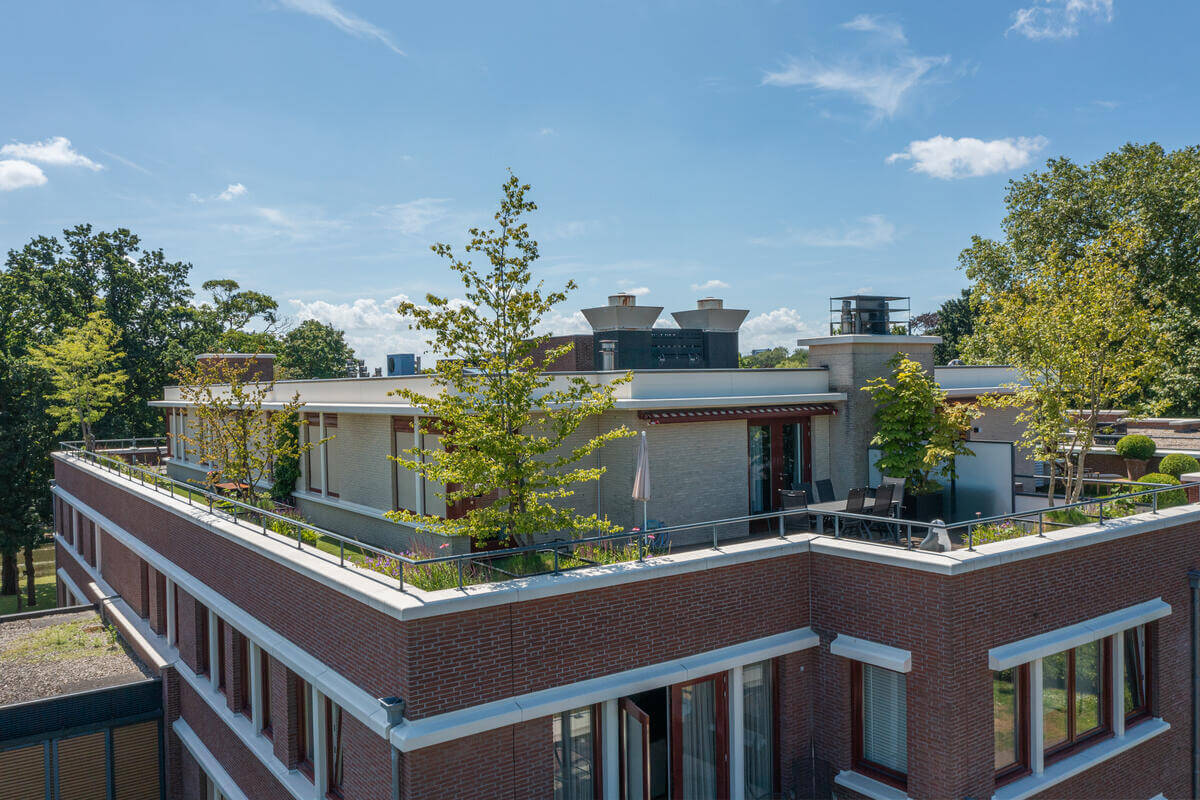 Project Rooftop garden, Voorburg