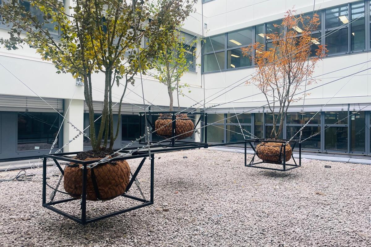 Project Linz, Österreich