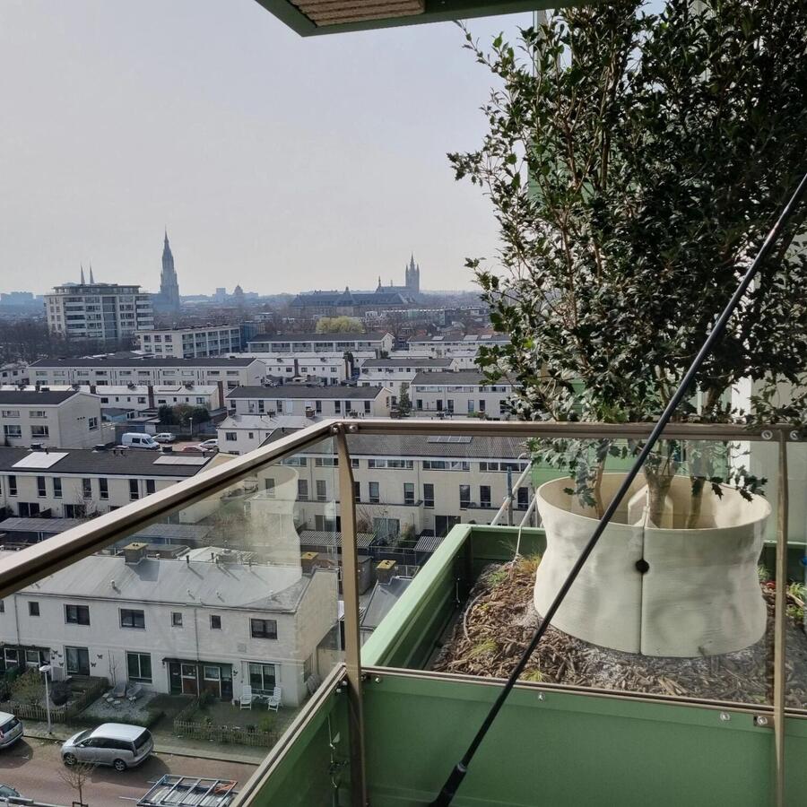 THE URBAN WOODS, DELFT