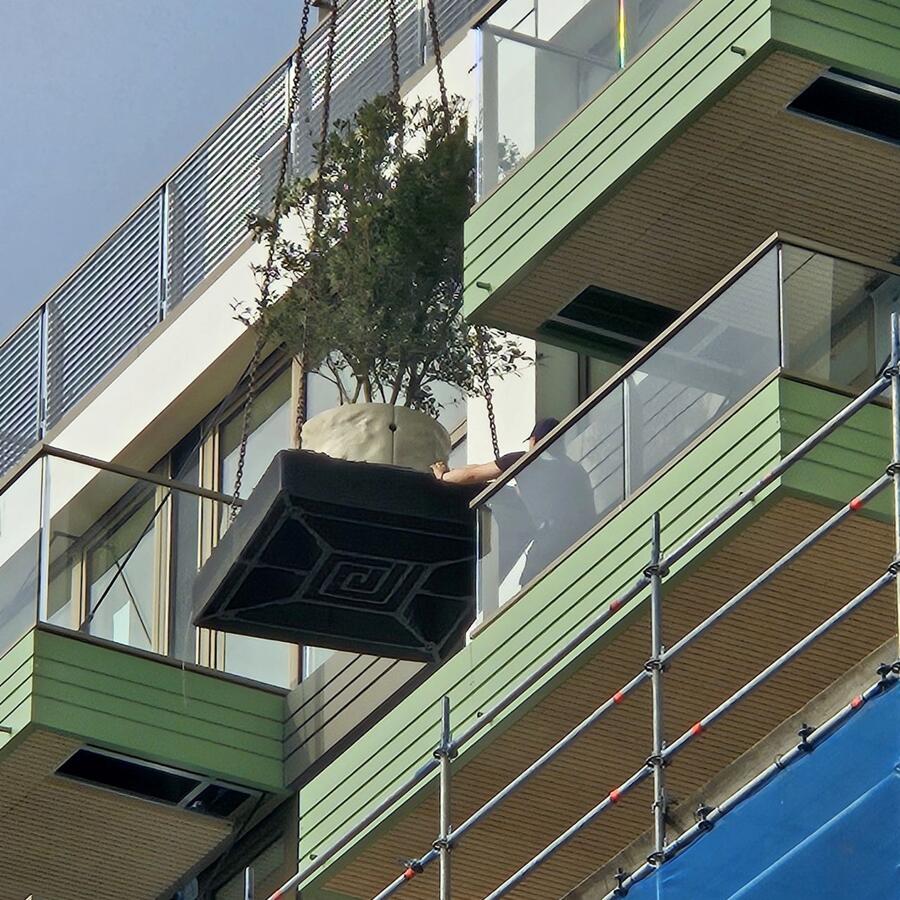 THE URBAN WOODS, DELFT