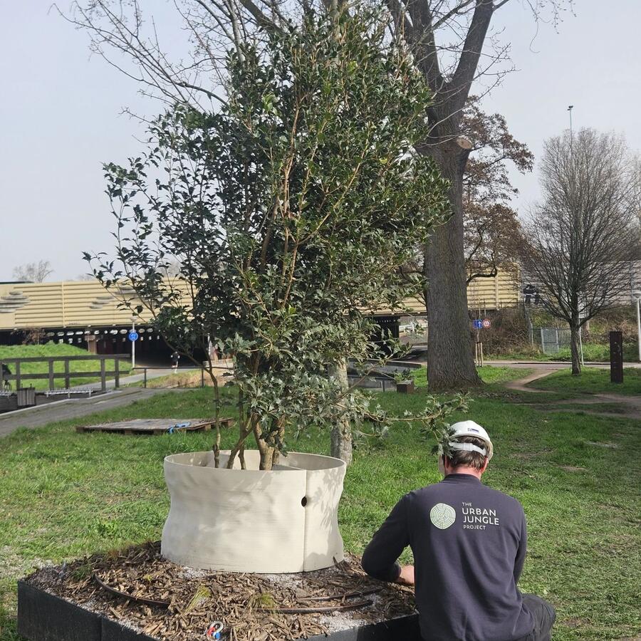 THE URBAN WOODS, DELFT