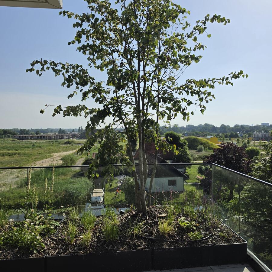 VOORSCHOTEN, HAAGWIJK