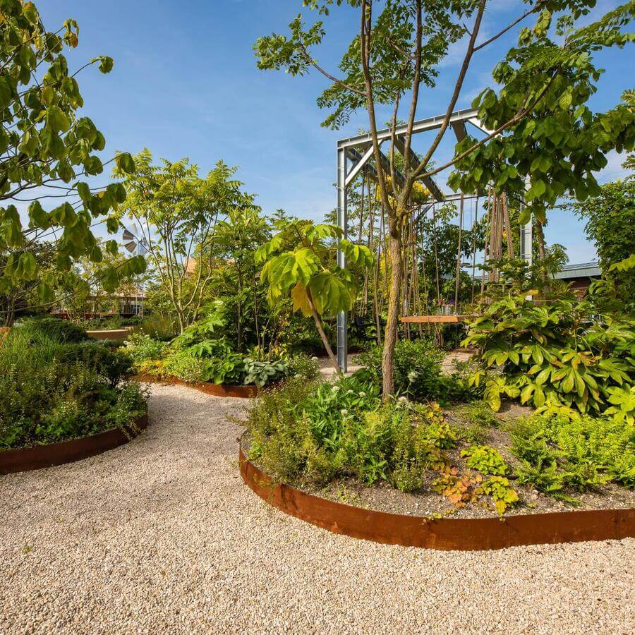 INSPYRIUM, CUIJK: Urban Trees op een bekroonde daktuin