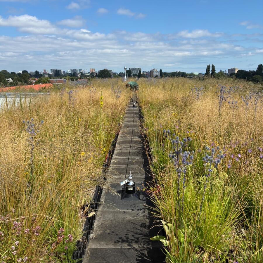 PIETERLASTMANWEG, AMSTELVEEN