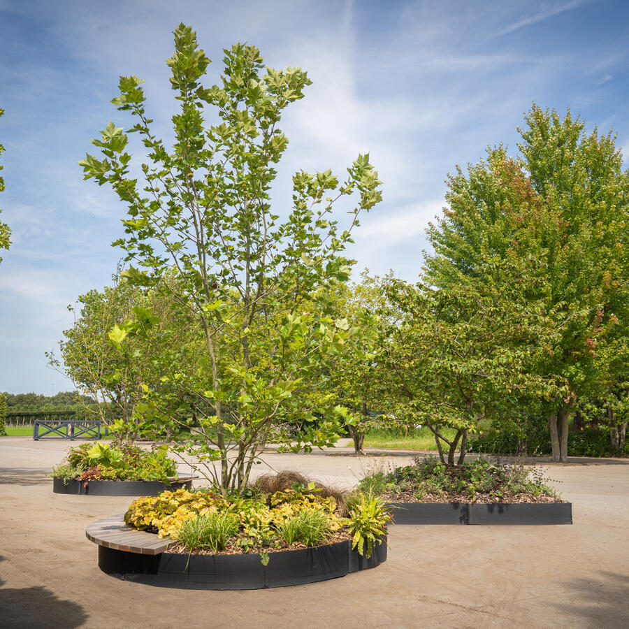 Jungle Blocks.: Modular pieces of jungle, <br>shaping lightweight landscapes.