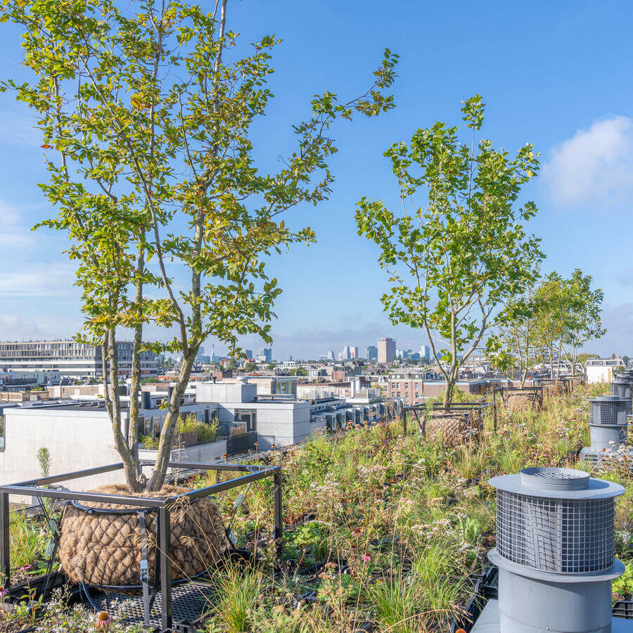 Jungle Box.: Vaste planten en heesters <br>op het gewicht van een sedummat.