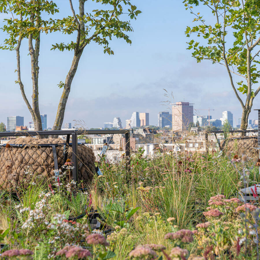 Jungle Box.: Vaste planten en heesters <br>op het gewicht van een sedummat.