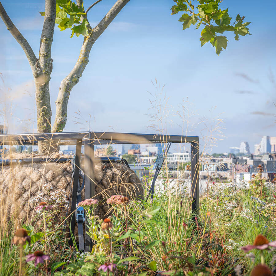 VVE BLUELAND, AMSTERDAM: Modulaire biodiversetuin op een dak in Amsterdam