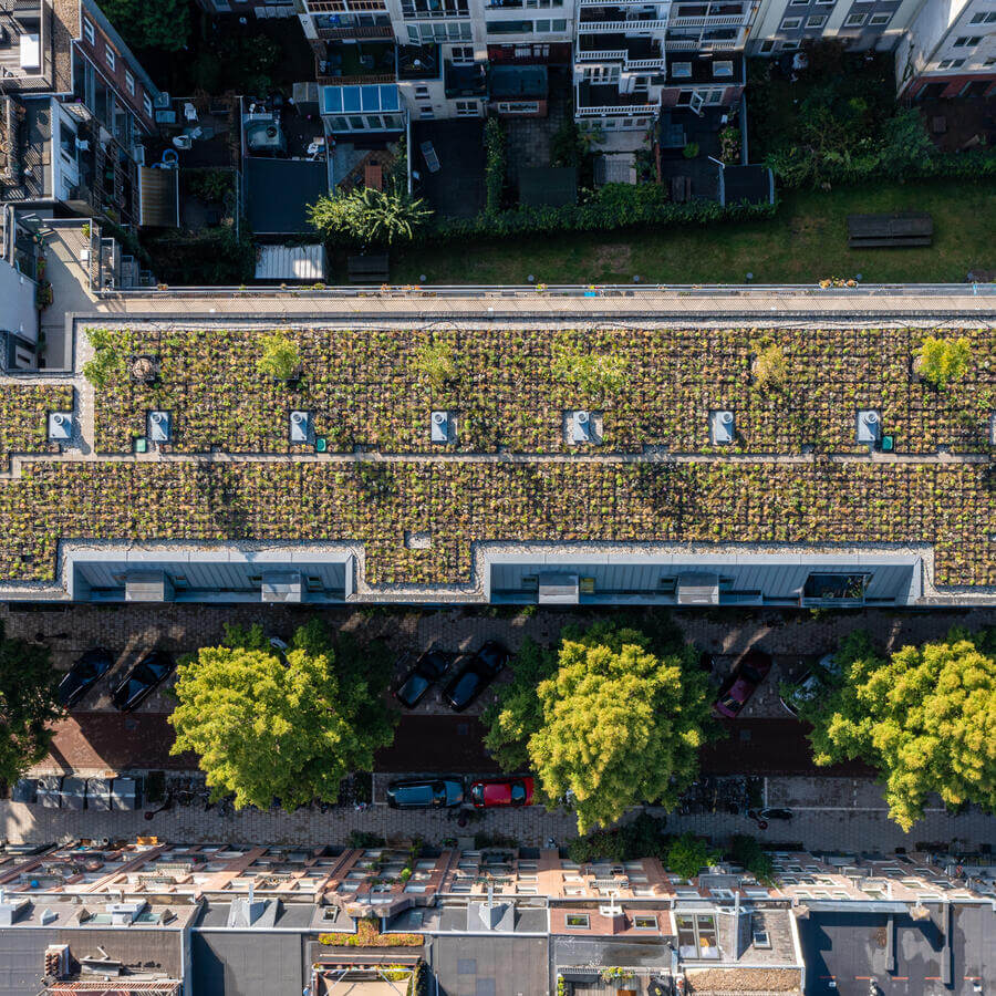 VVE BLUELAND, AMSTERDAM: Modulaire biodiversetuin op een dak in Amsterdam