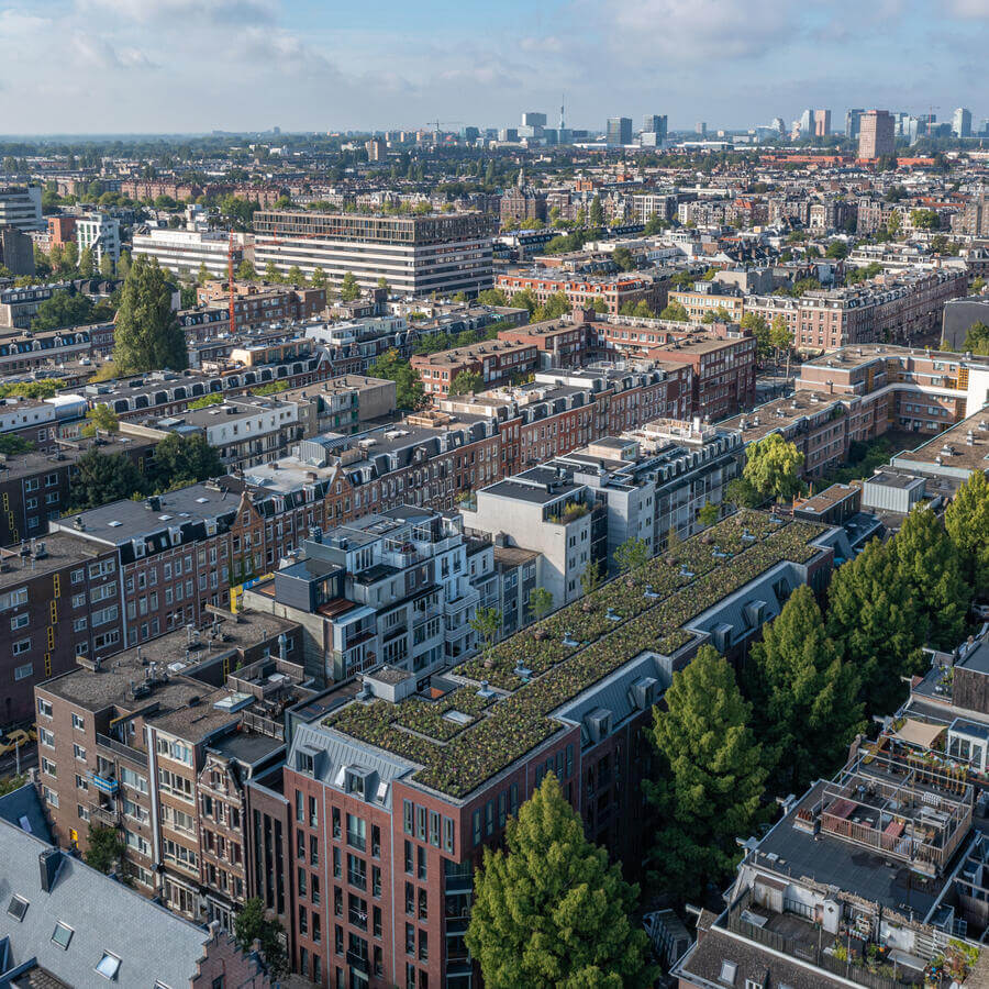 VVE BLUELAND, AMSTERDAM: Modulaire biodiversetuin op een dak in Amsterdam