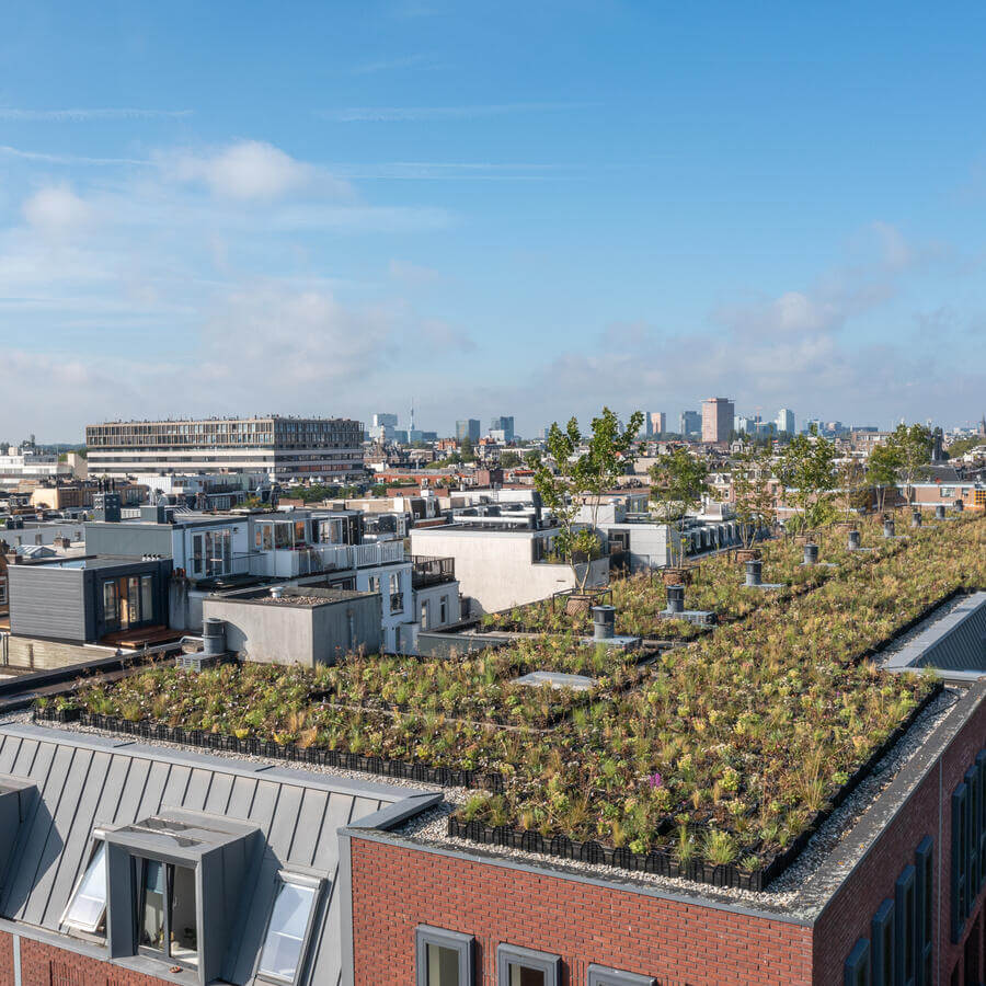VVE BLUELAND, AMSTERDAM: Modulaire biodiversetuin op een dak in Amsterdam