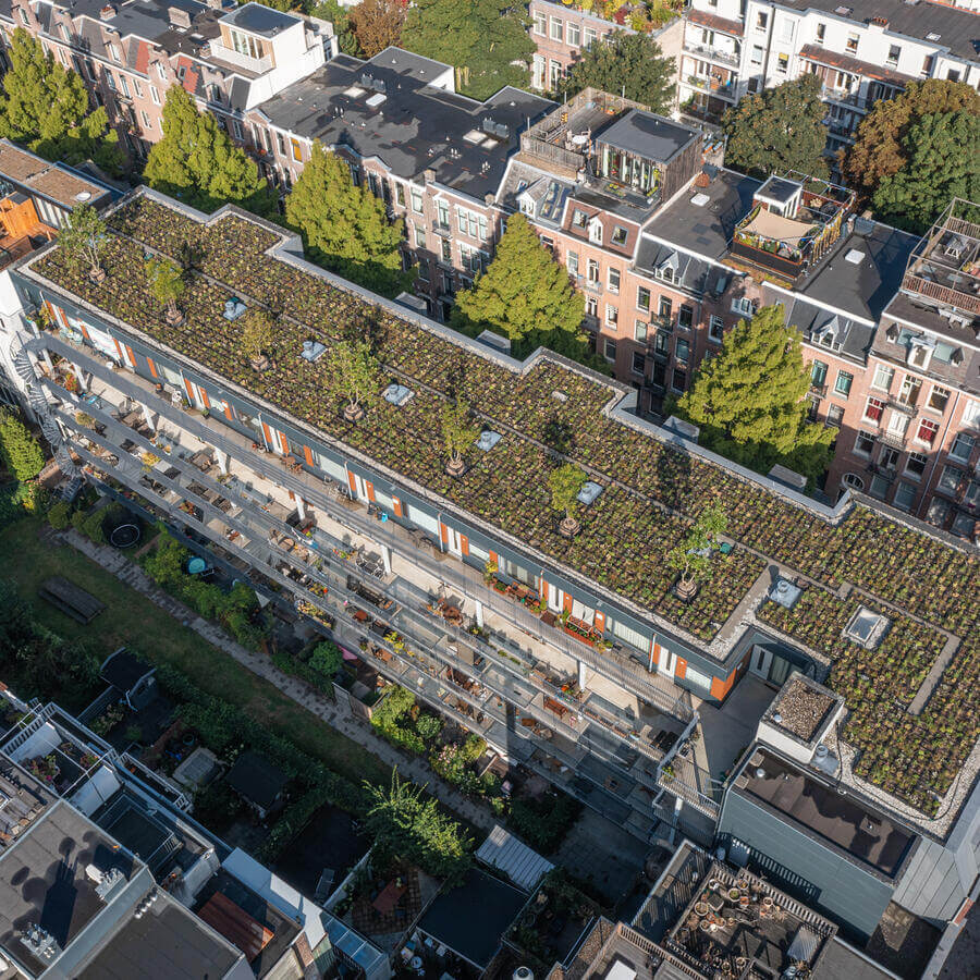 VVE BLUELAND, AMSTERDAM: Modulaire biodiversetuin op een dak in Amsterdam