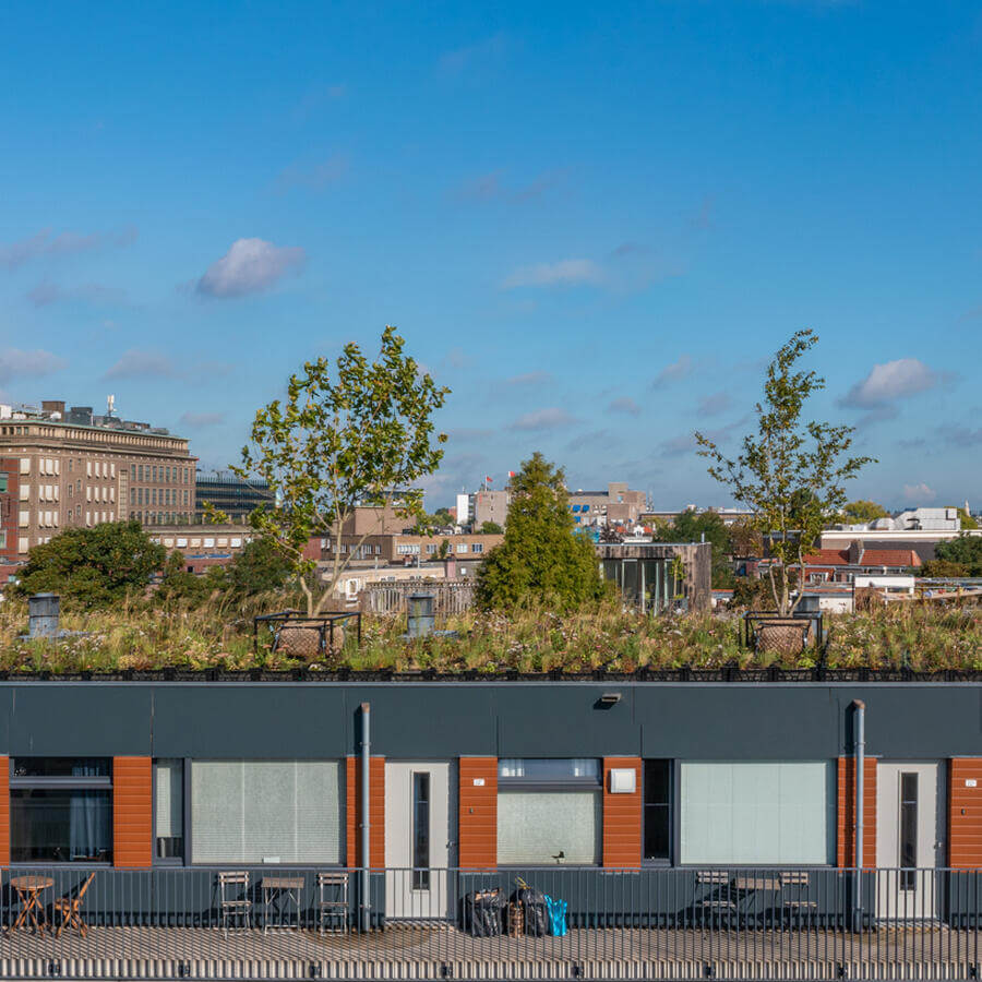 VVE BLUELAND, AMSTERDAM: Modular zoo on a roof in Amsterdam