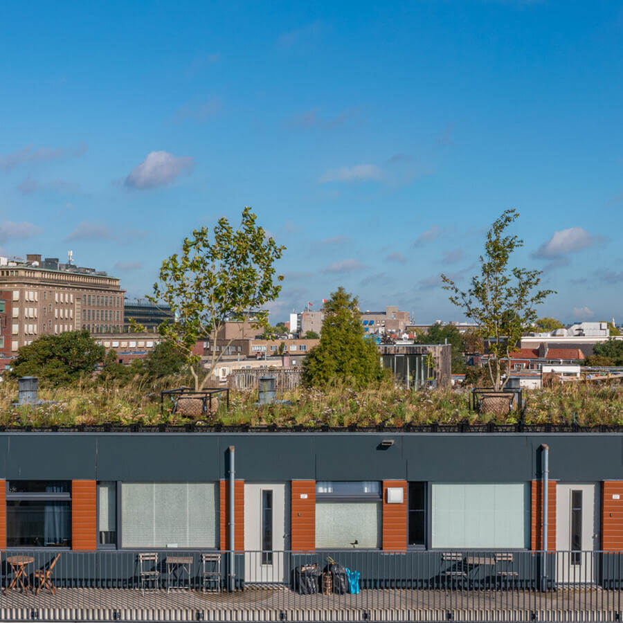 VVE BLUELAND, AMSTERDAM: Modulaire biodiversetuin op een dak in Amsterdam