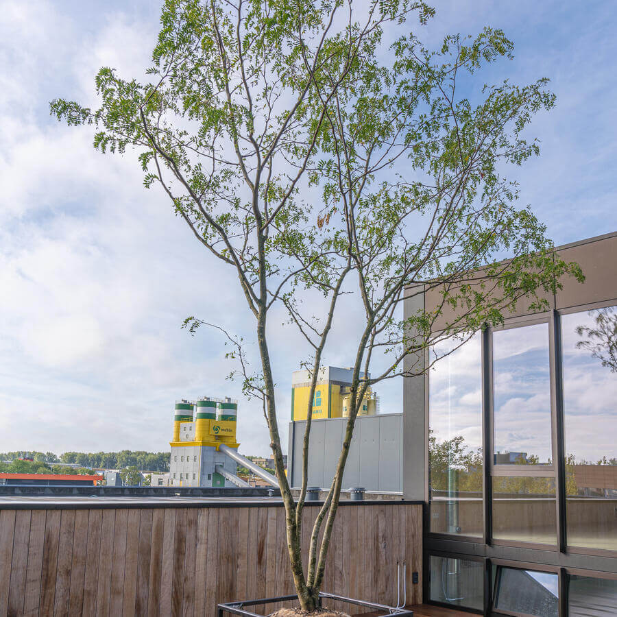 FOTOSTUDIO TWENTYTEN, AMSTERDAM: Groene parasol op patio van een houtbouw fotostudio
