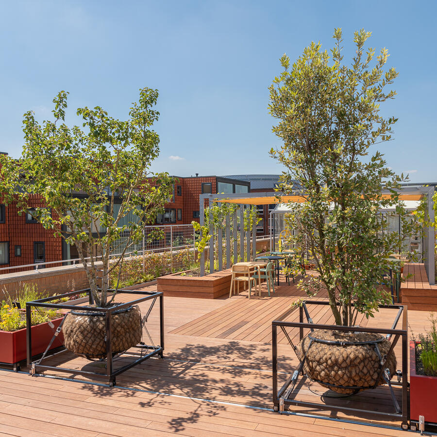 Urban Tree.: Eine leichtgewichtige Lösung, wenn <br>eine Pflanzung nicht möglich ist.
