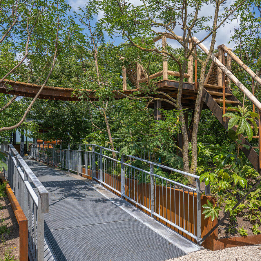 INSPYRIUM, CUIJK: Urban Trees on an award winning rooftop garden