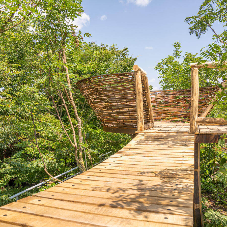 INSPYRIUM, CUIJK: Urban Trees op een bekroonde daktuin