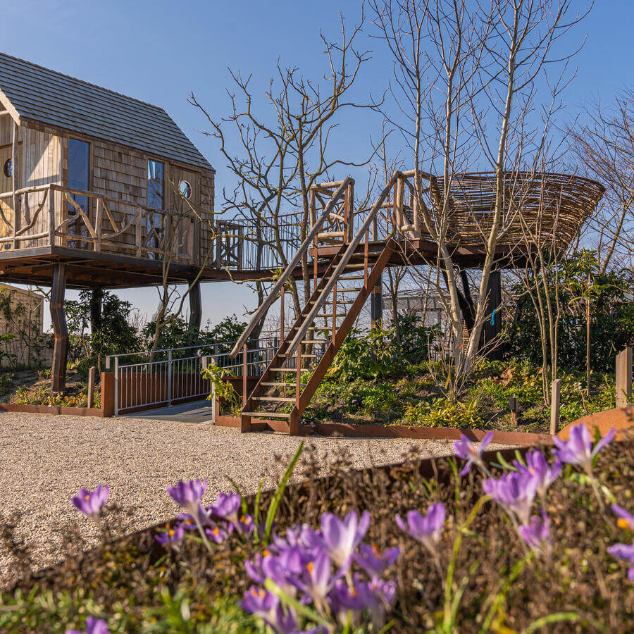 INSPYRIUM, CUIJK: Urban Trees on an award winning rooftop garden