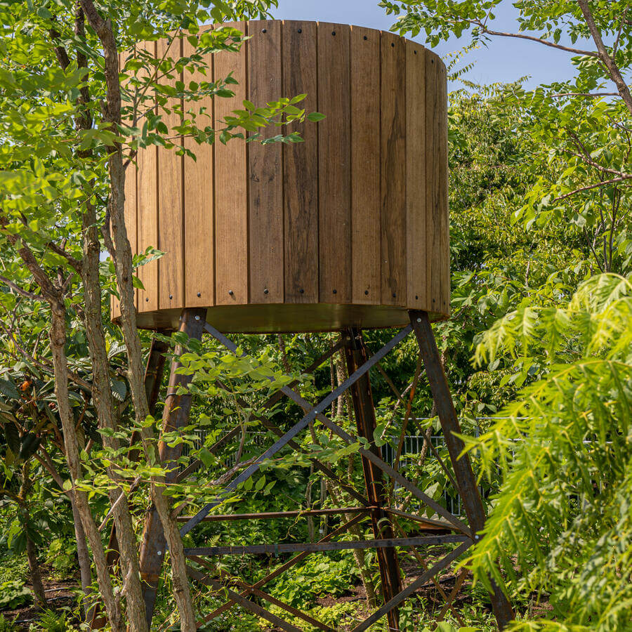 INSPYRIUM, CUIJK: Urban Trees on an award winning rooftop garden