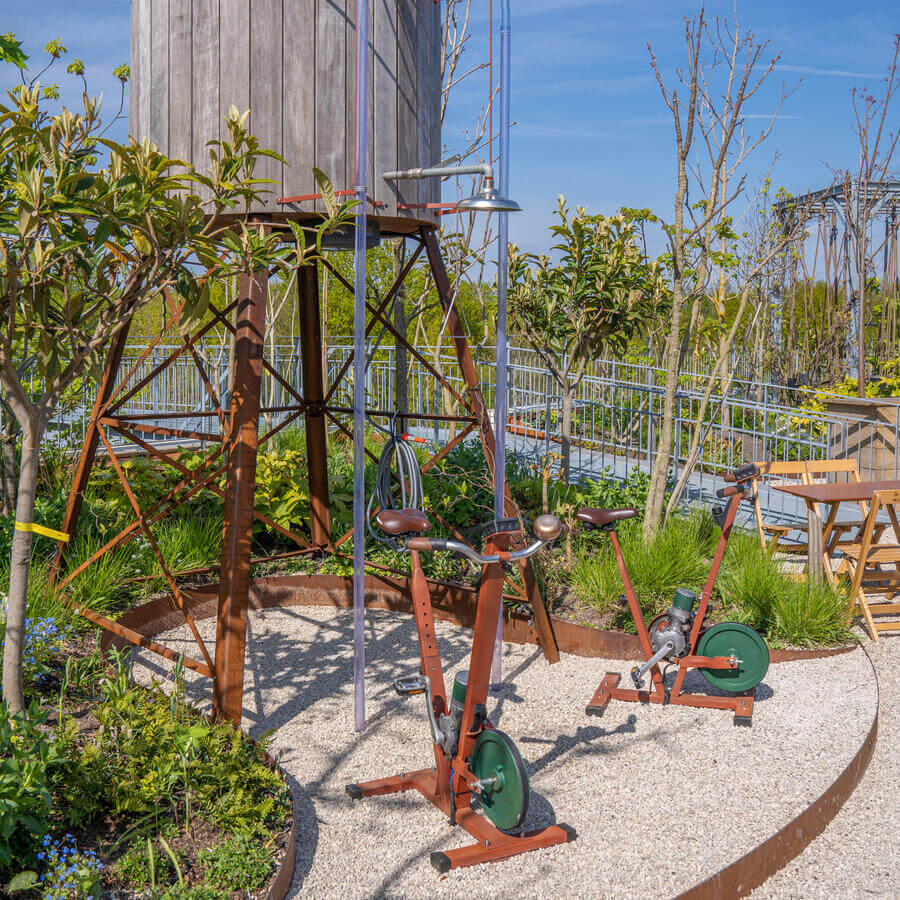 INSPYRIUM, CUIJK: Urban Trees on an award winning rooftop garden