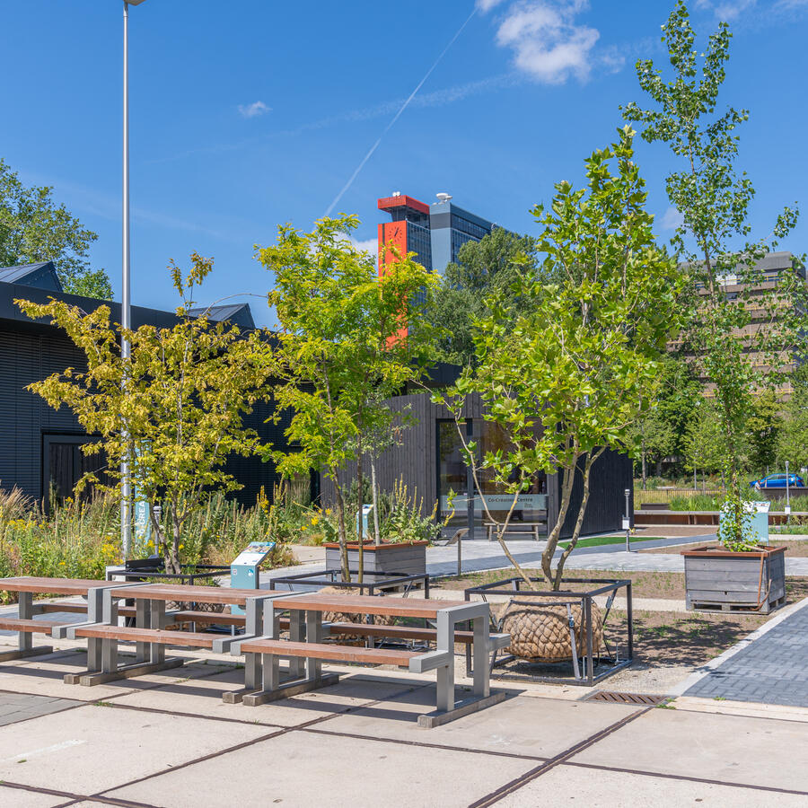 Urban Tree.: A lightweight solution when planting is not an option.