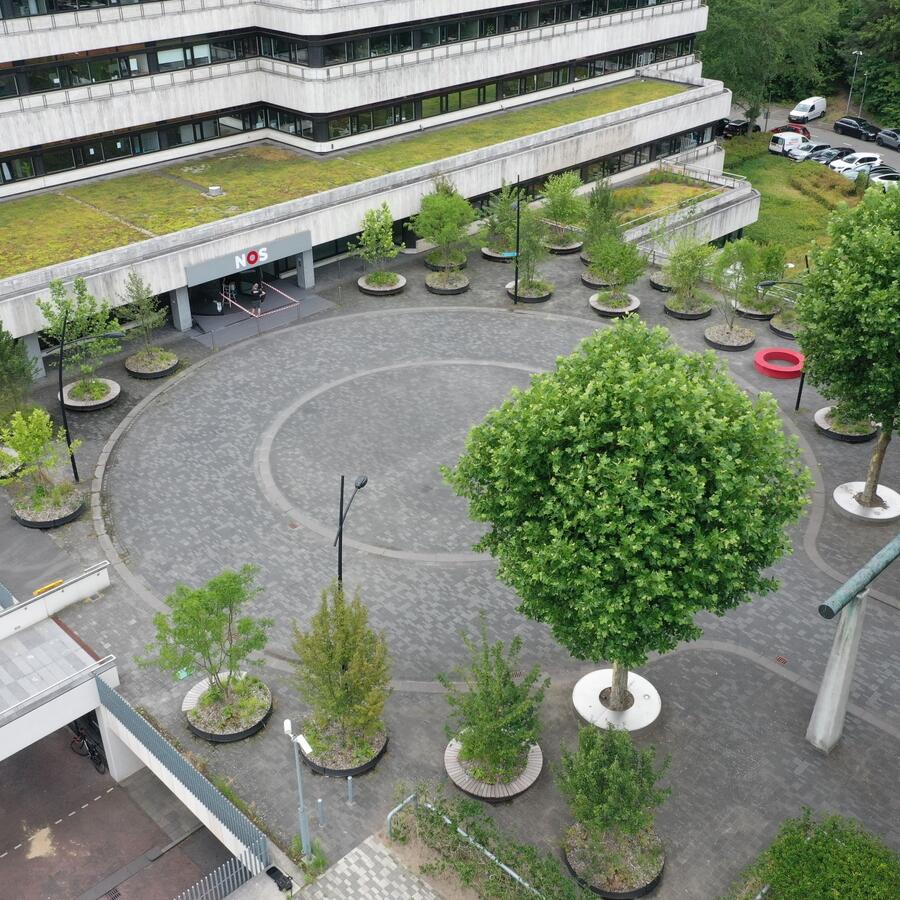 NOS, HILVERSUM