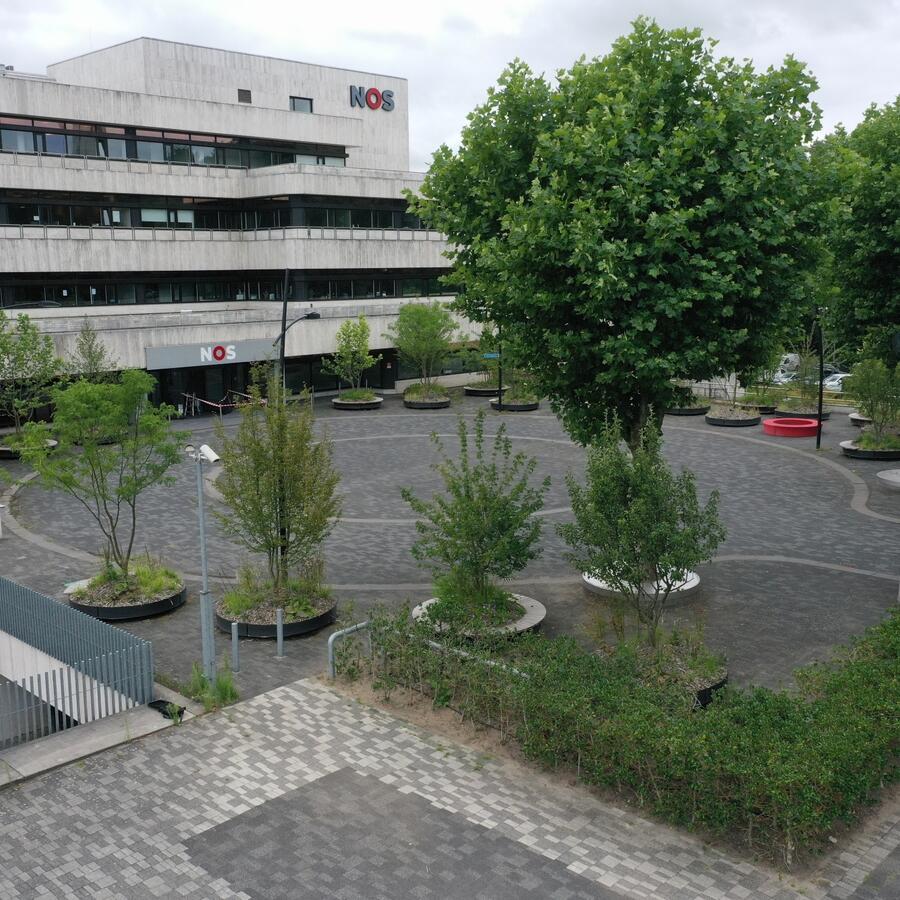 NOS, HILVERSUM