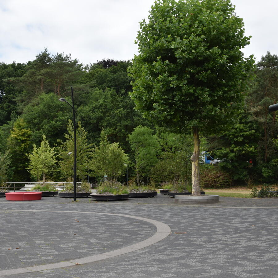 NOS, HILVERSUM