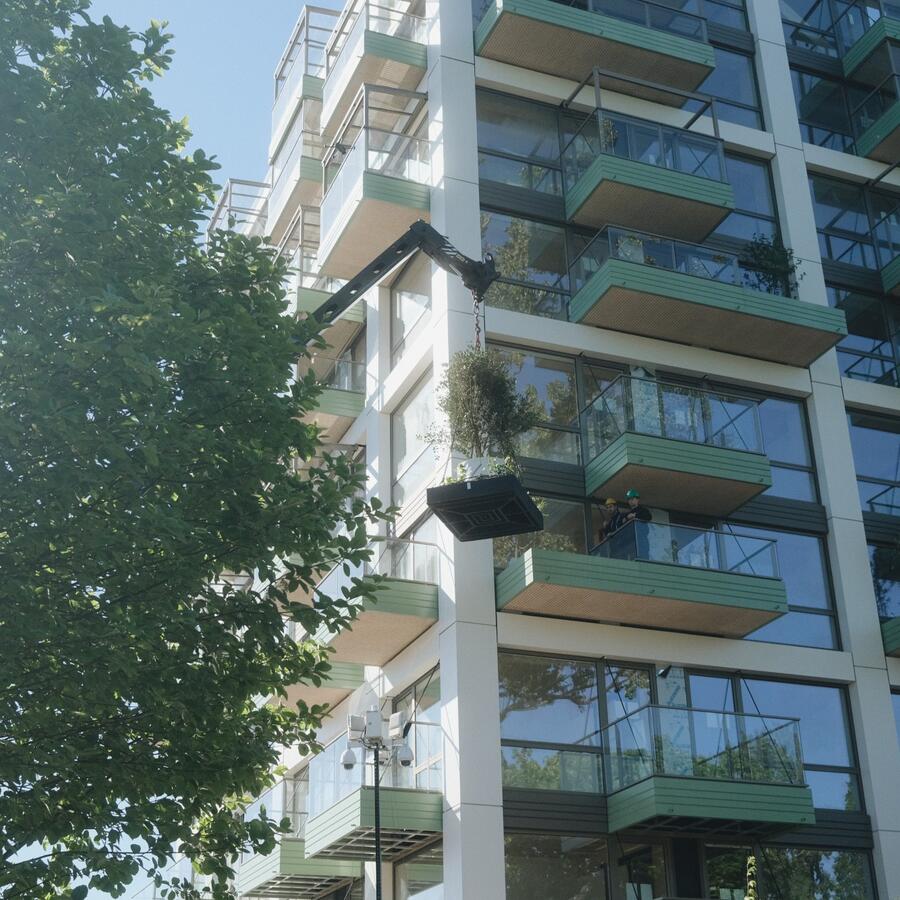 Jungle Blocks®.: Modular and lightweight tree planter for (roof)landscaping.