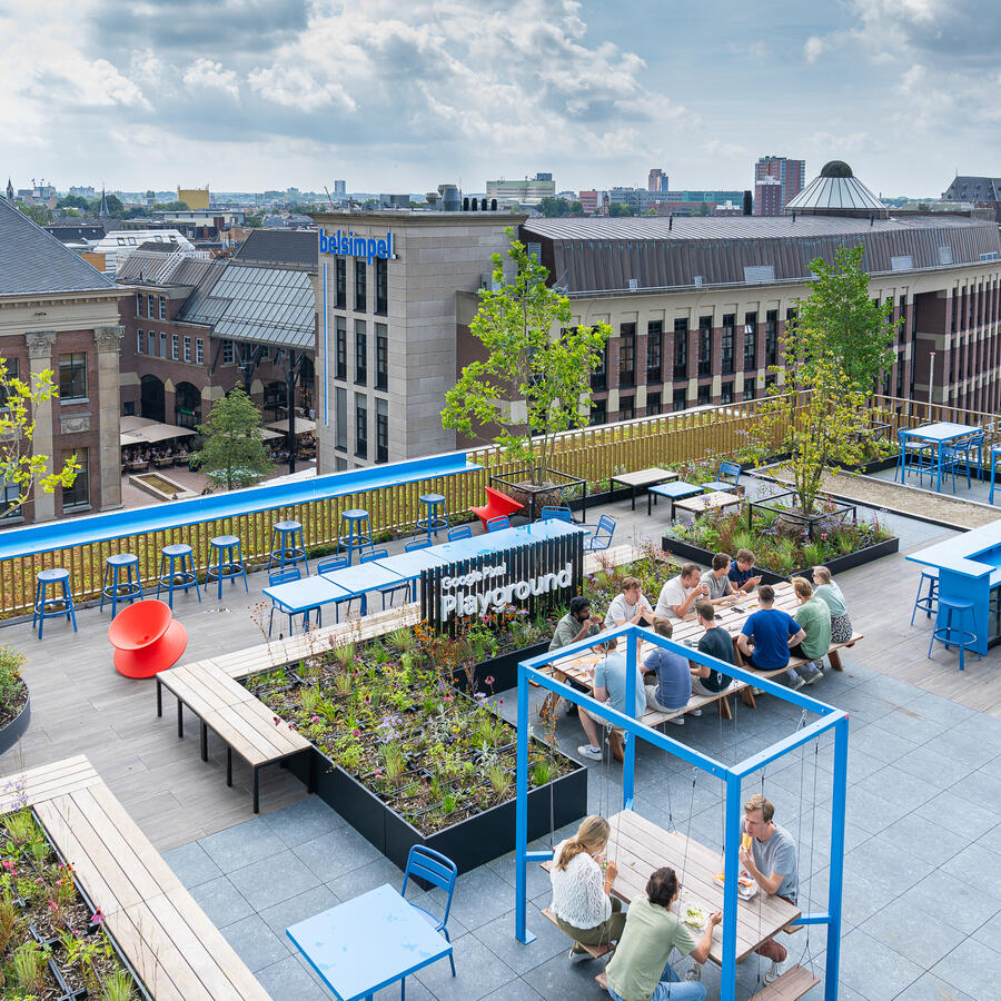 Belsimpel, Groningen