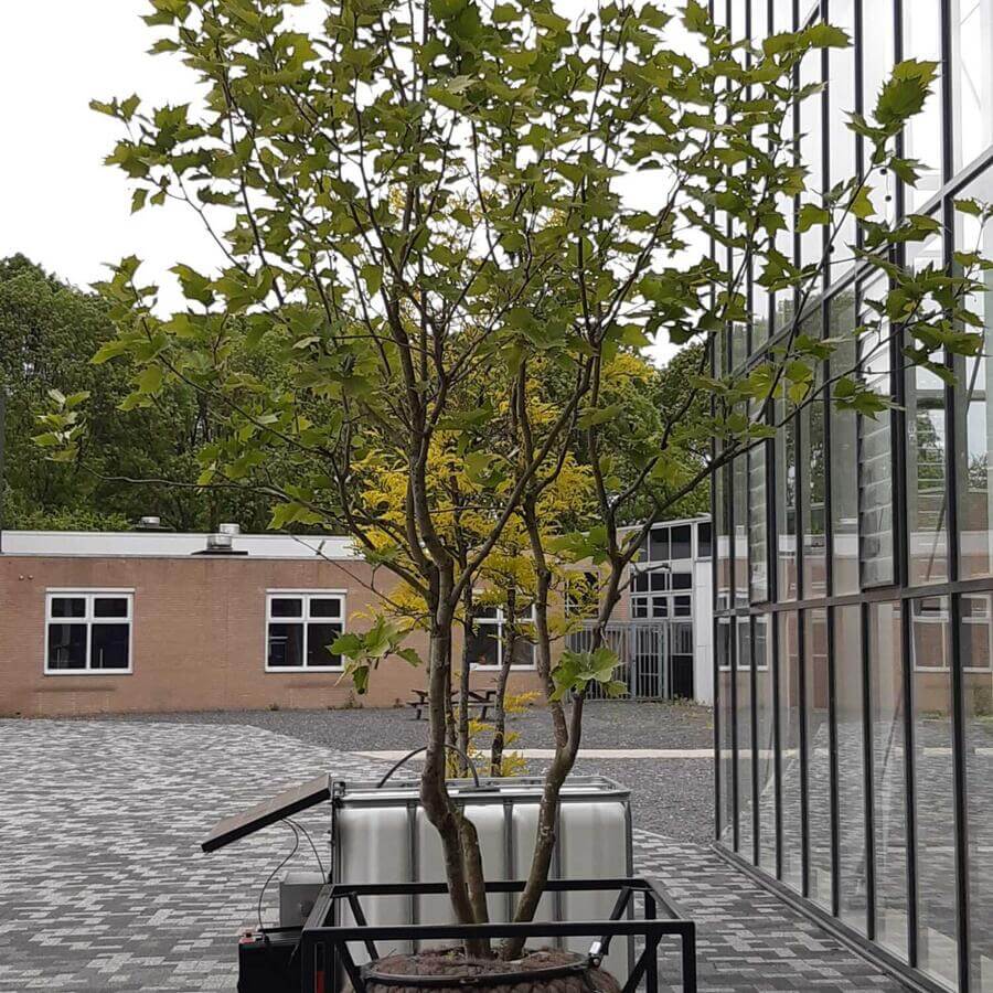 AERES UNIVERSITY, DRONTEN: Modular trees with an off the grid solar powered irrigation system