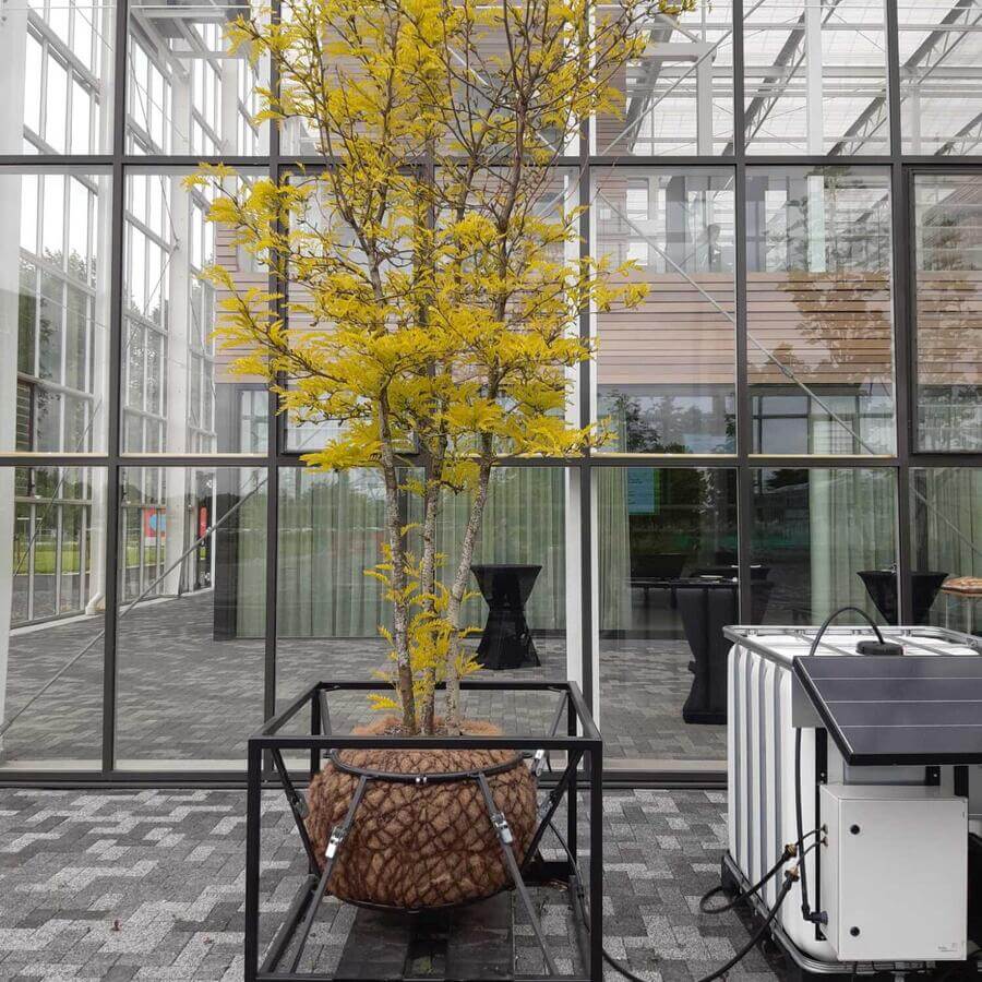 AERES UNIVERSITY, DRONTEN: Modulaire bomen met een off-the-grid irrigatiesysteem op zonnepanelen