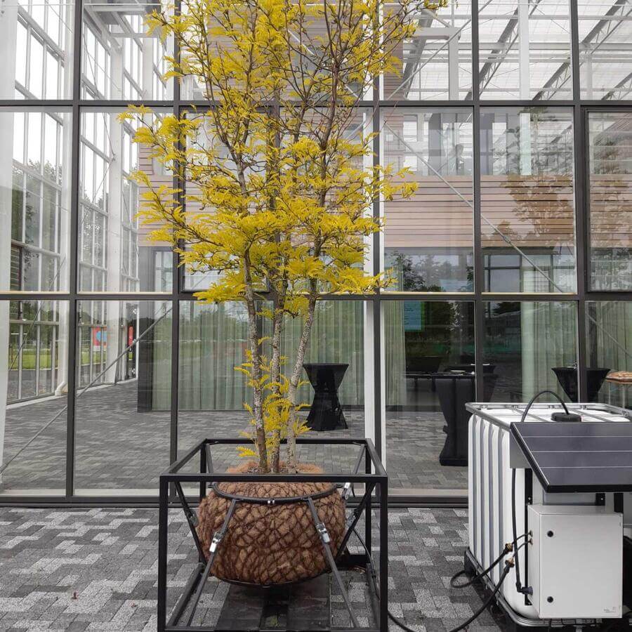 AERES UNIVERSITY, DRONTEN: Modular trees with an off the grid solar powered irrigation system