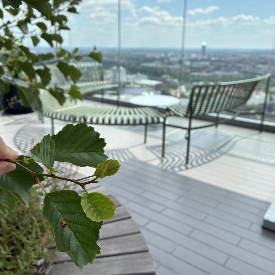 EDGE EAST SIDE TOWER, BERLIN