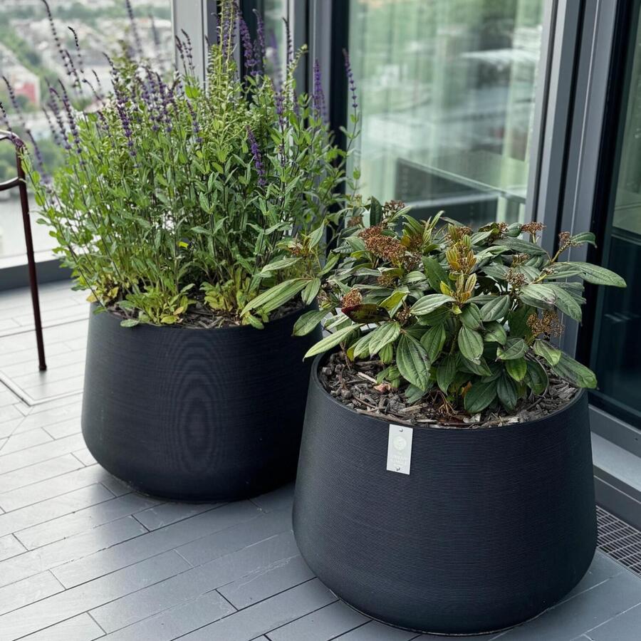 Jungle Pots.: 3D printed planters for every terrace.