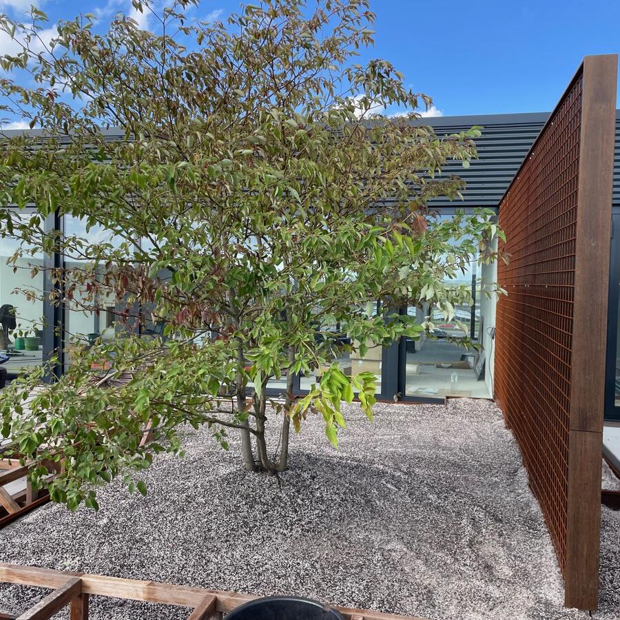 Urban Biotope.: Lightweight landscaping, uncompromised impact