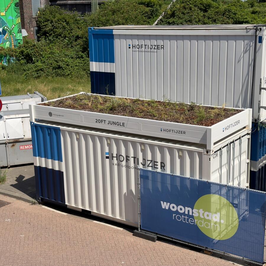 20ft Jungle.: Turning a container roof into a cool, green worksite.