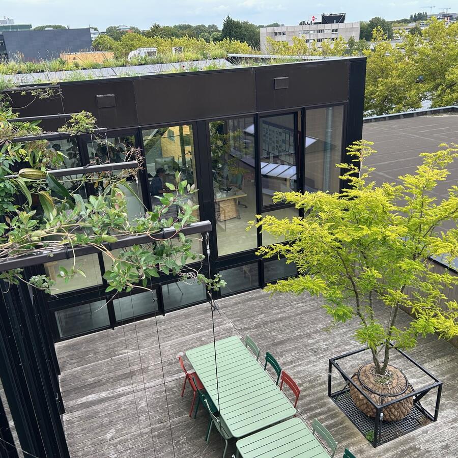 PHOTOSTUDIO TWENTYTEN, AMSTERDAM: Grüner Regenschirm auf einer Holzterrasse im Fotostudio