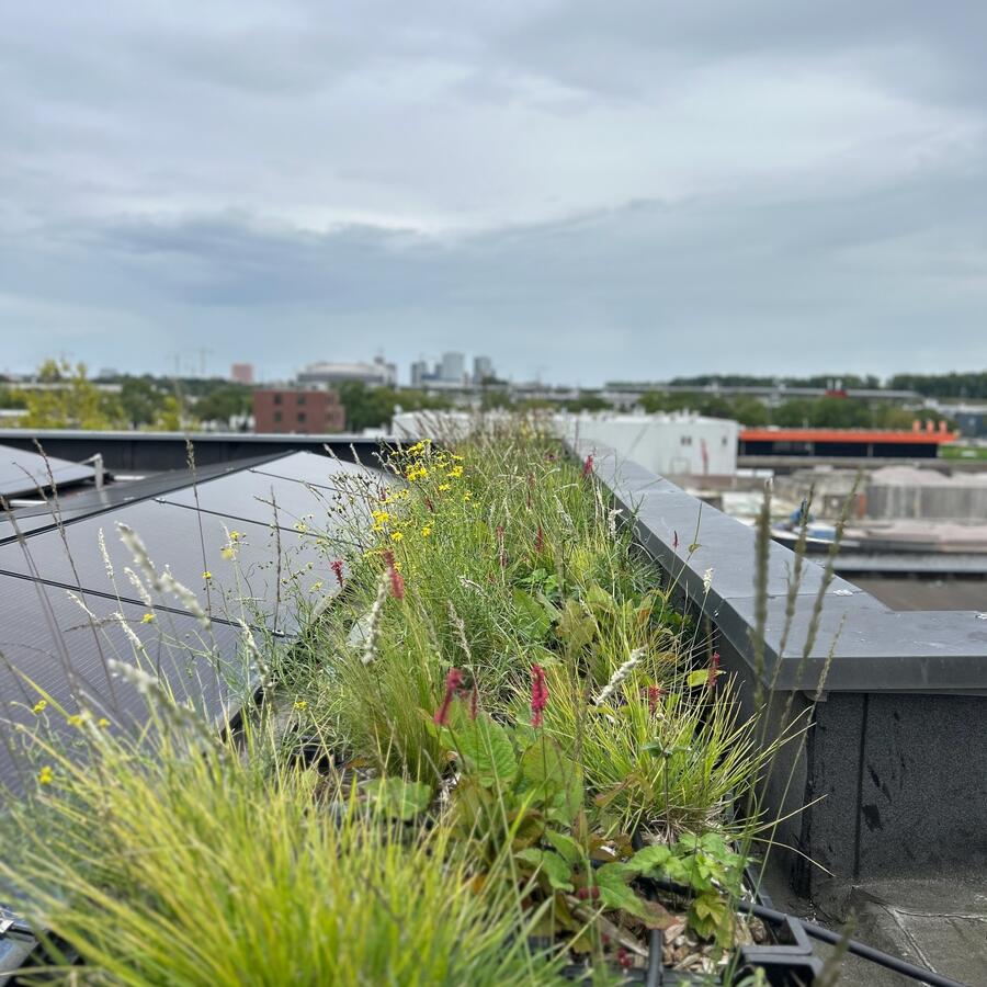 PHOTOSTUDIO TWENTYTEN, AMSTERDAM: Grüner Regenschirm auf einer Holzterrasse im Fotostudio