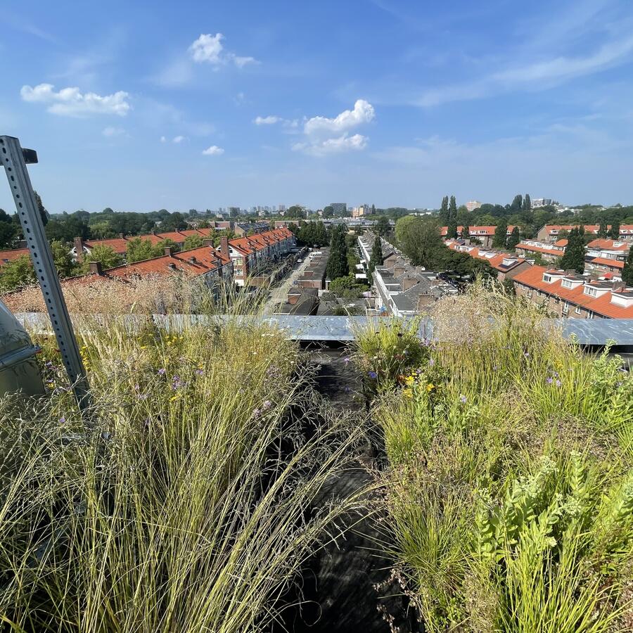 PIETERLASTMANWEG, AMSTELVEEN