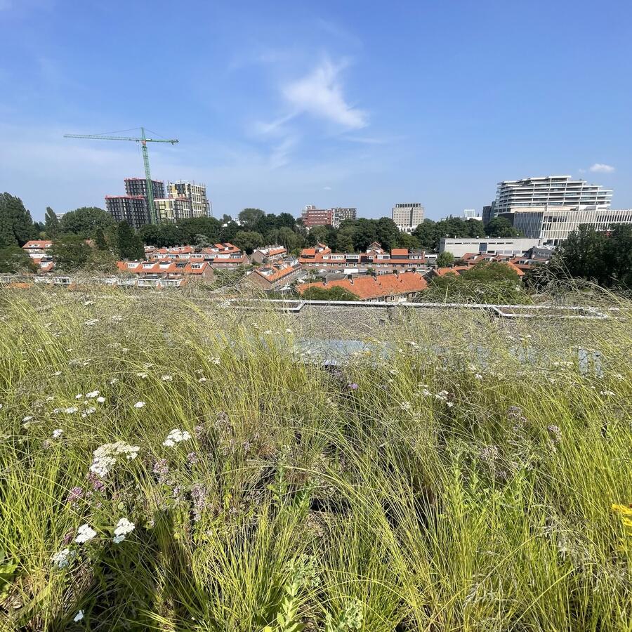 PIETERLASTMANWEG, AMSTELVEEN