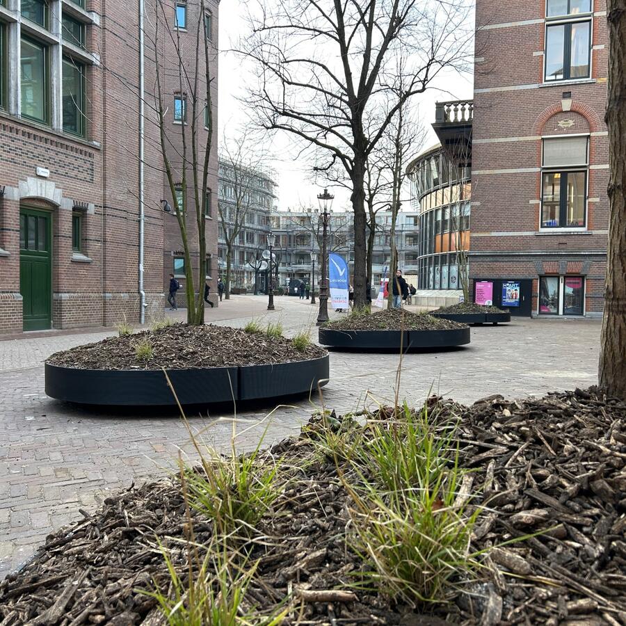 UNIVERSITEITSKWARTIER, AMSTERDAM